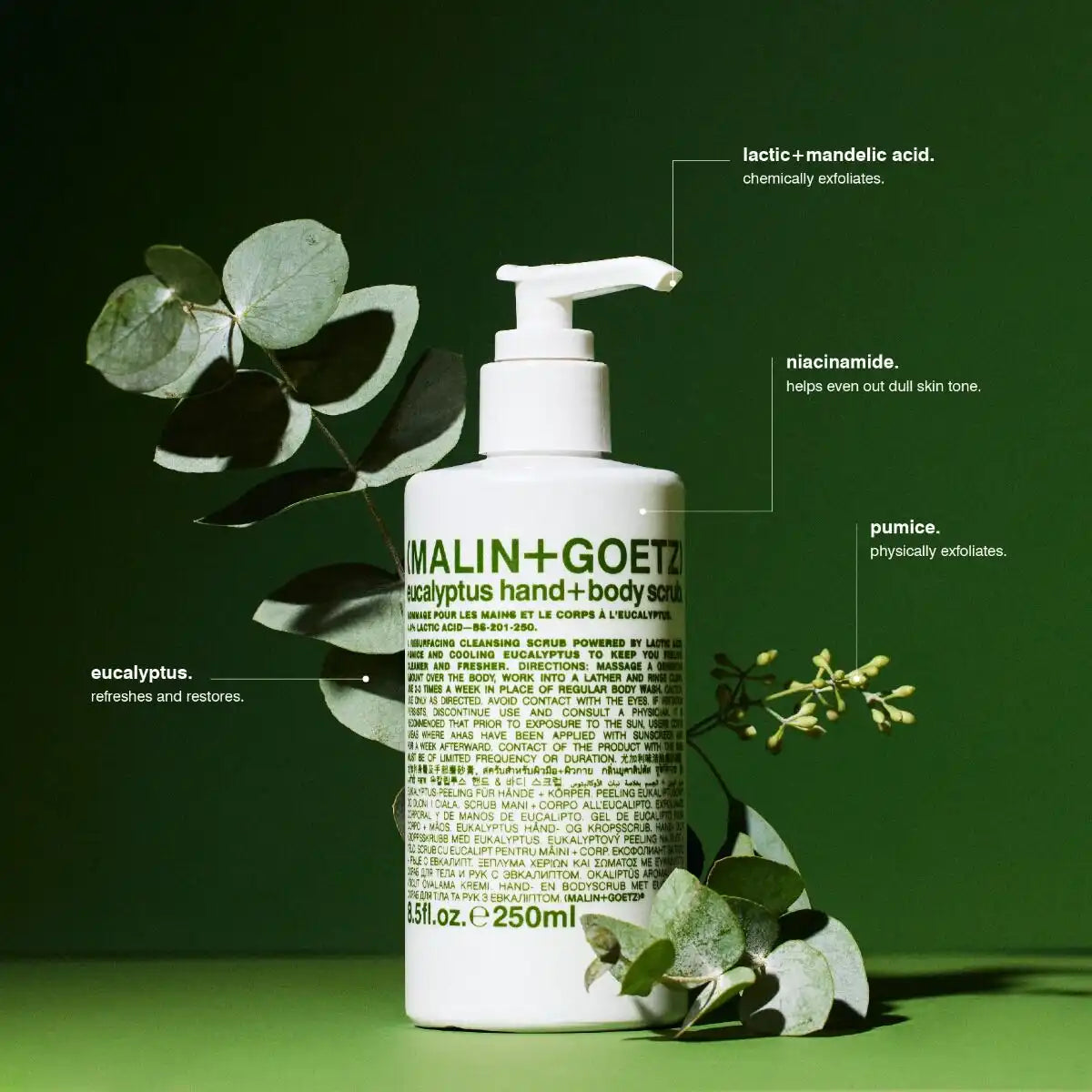 eucalyptus hand+body scrub.