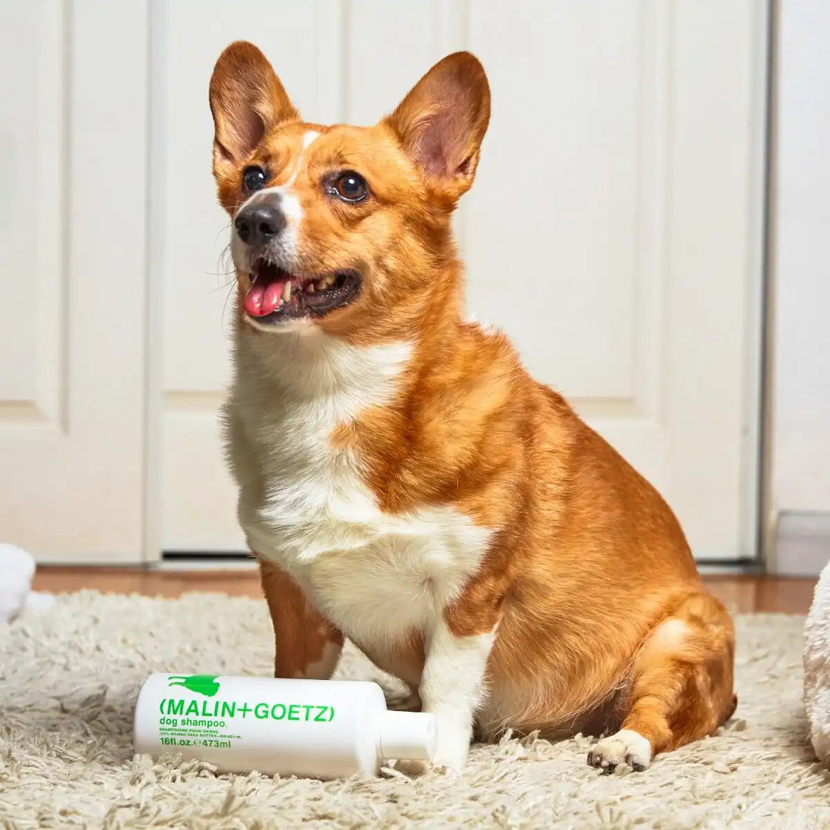 dog shampoo.